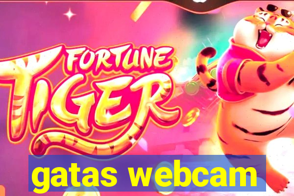 gatas webcam